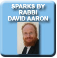  Sparks by Rabbi David Aaron - updated weekly plus archives!