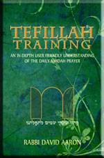 Tefillah Training - An In-Depth User Friendly Understanding of the Daily Amidah Prayer by Rabbi David Aaron